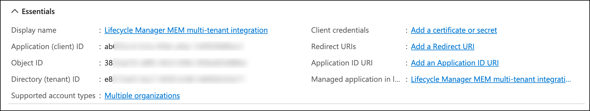 MEM_MT_registered_new_IDs.png